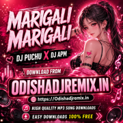 MARIGALI MARIGALI - DEEJAY PUCHU X DEEJAY APM.mp3