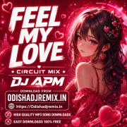 FEEL MY LOVE [ CIRCUIT REMIX ] DJ APM BHADRAK.mp3