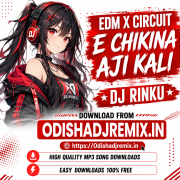 E CHIKINA AJI KALI BHARI SMART LAGUCHU ( EDM X CIRCUIT ) DJ RINKU.mp3